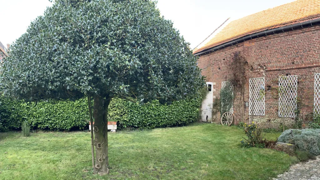 Le jardin arboré du cabinet d’Escaudœuvres