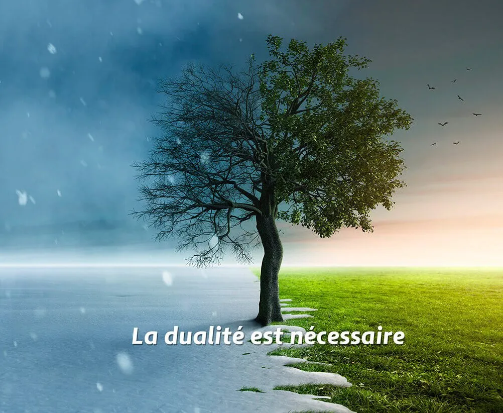 Un arbre partagé entre l’hiver et l’été, image de la dualité chère à Sébastien Capron